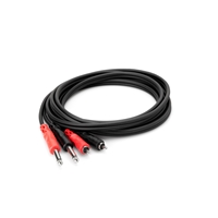 Hosa CPR-202 Dual 1/4" TS to Dual RCA Stereo Interconnect Cable, 6'