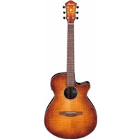 Ibanez AEG70VVH Acoustic-Electric Guitar