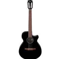 Ibanez AEG50N Acoustic-Electric Guitar, Black High Gloss