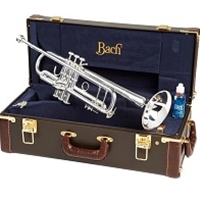 Bach 180S Model 37 Stradivarius Bb Trumpet, Gold Brass Bell