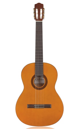 Cordoba Protege C1 Classical Guitar, Natural