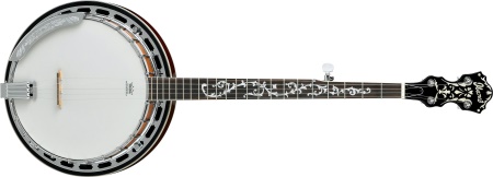 Ibanez 5 String Banjo Mahohany Resonator